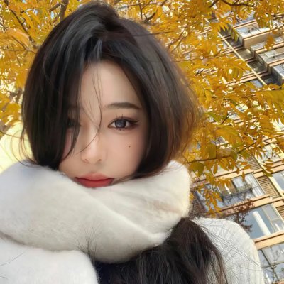 完美独裁